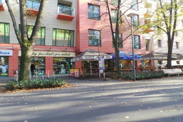 Apartment Archa Poděbrady Exterior foto